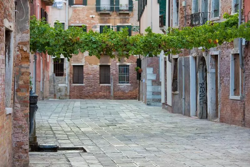 Majatalo Alla Vite Dorata