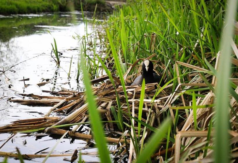 ベッドアンドブレックファースト De Kopstoof