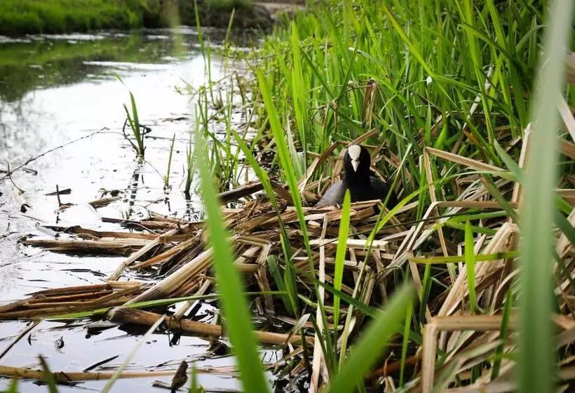 Aamiaismajoitus (B&B) De Kopstoof