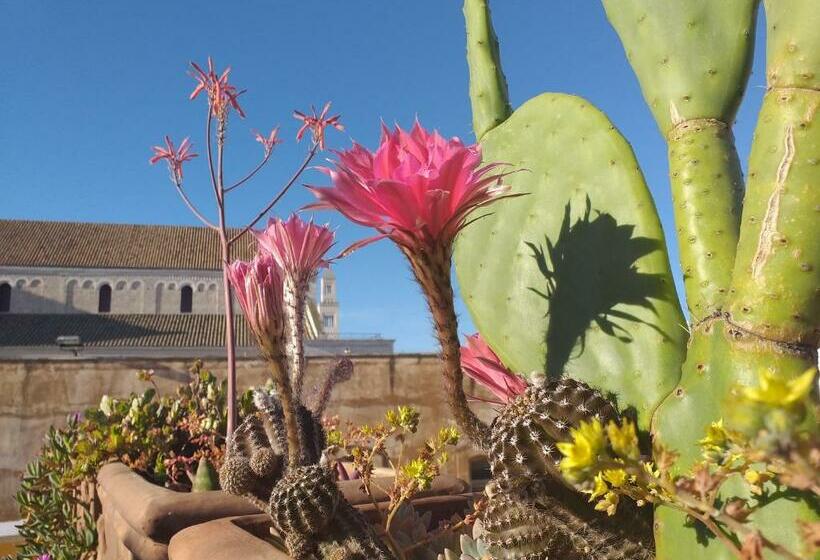 צימר Il Soppalco