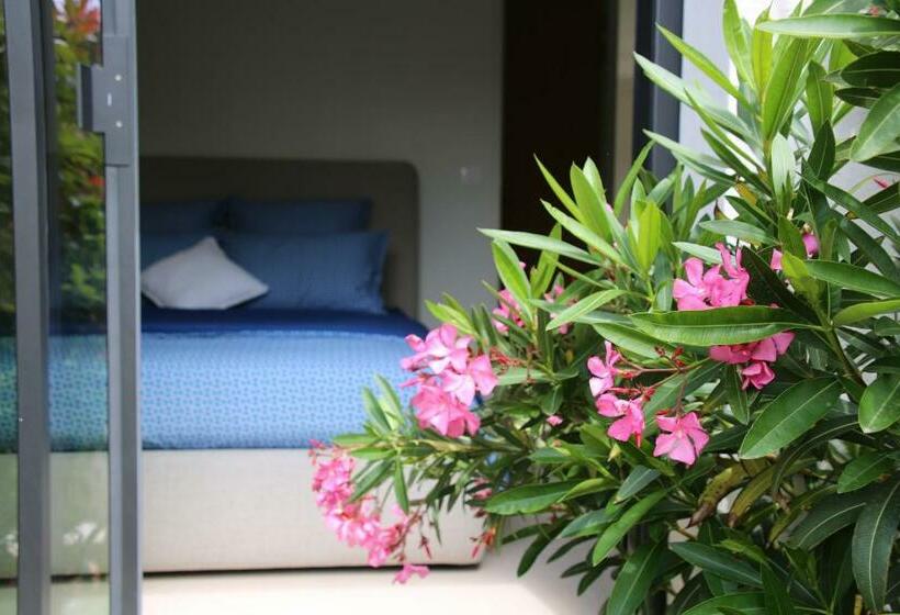 Bed and Breakfast Villa Chaptalia
