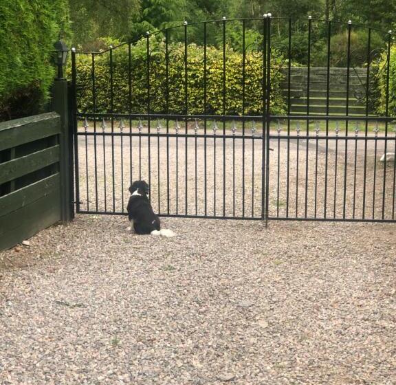 Foresters Lodge Bed And Breakfast, Near Loch Ness