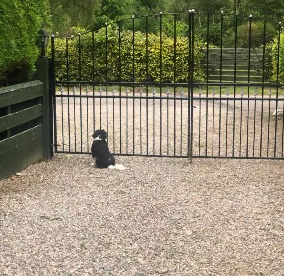 Foresters Lodge Bed And Breakfast, Near Loch Ness