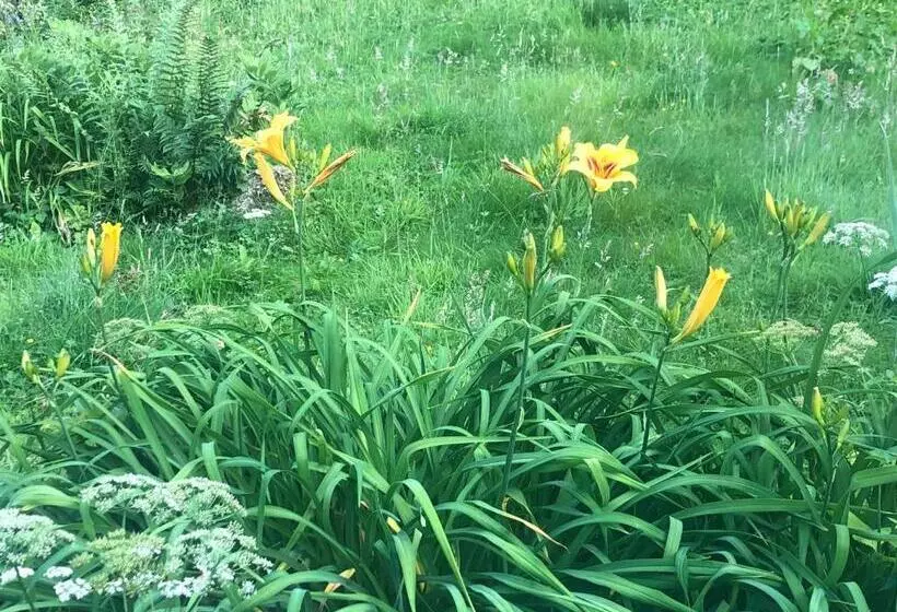 Foresters Lodge Bed And Breakfast, Near Loch Ness