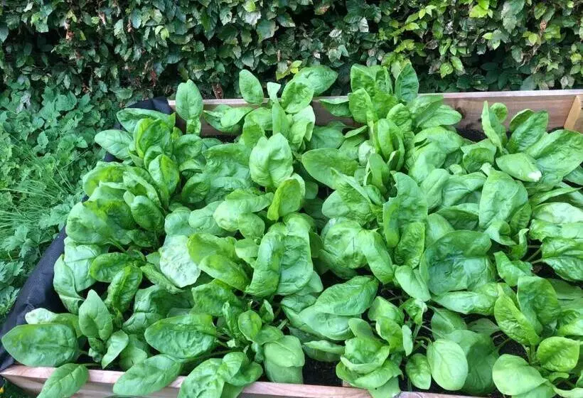 Foresters Lodge Bed And Breakfast, Near Loch Ness