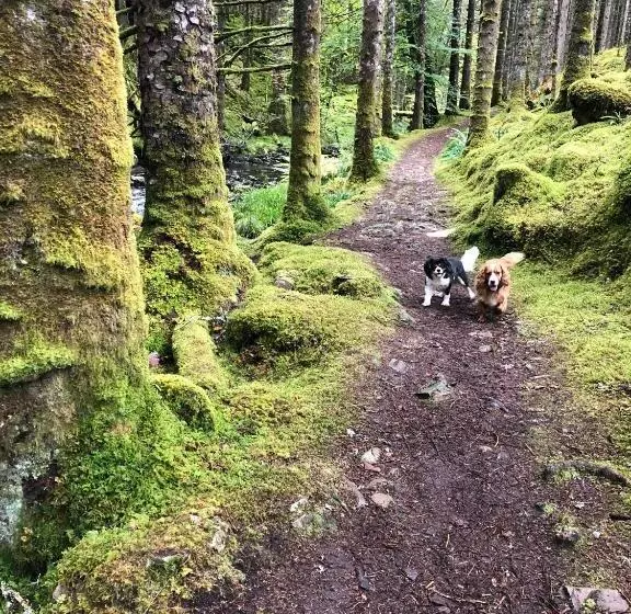 Foresters Lodge Bed And Breakfast, Near Loch Ness