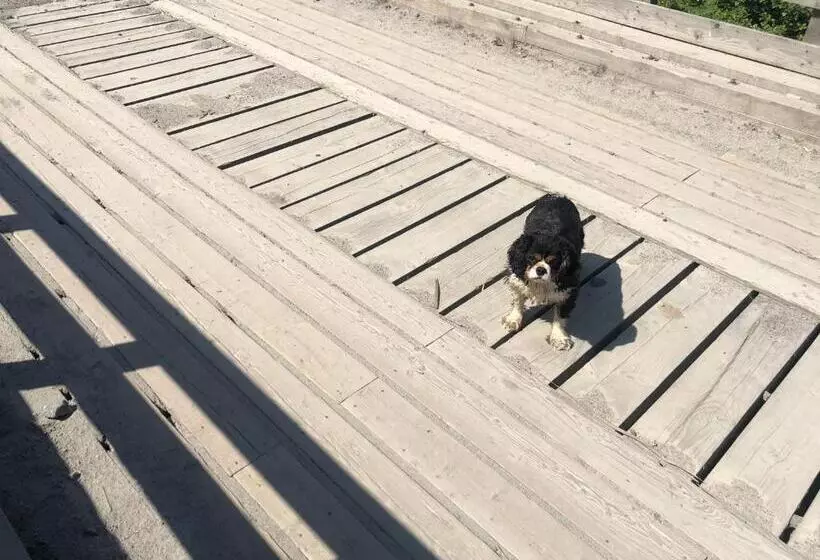 Foresters Lodge Bed And Breakfast, Near Loch Ness