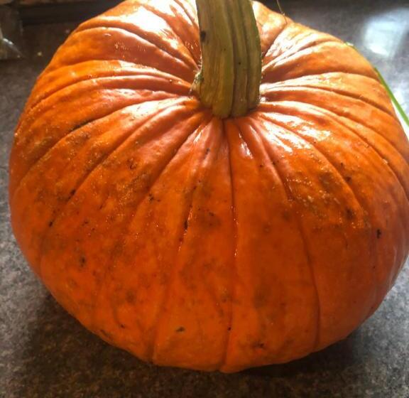 Foresters Lodge Bed And Breakfast, Near Loch Ness