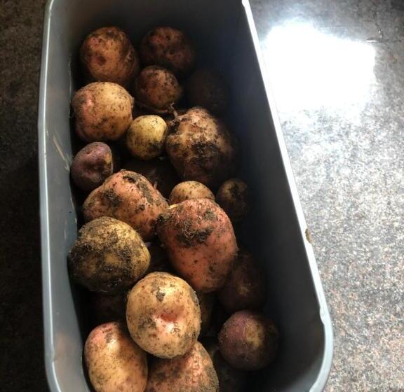 Foresters Lodge Bed And Breakfast, Near Loch Ness