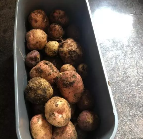 Foresters Lodge Bed And Breakfast, Near Loch Ness