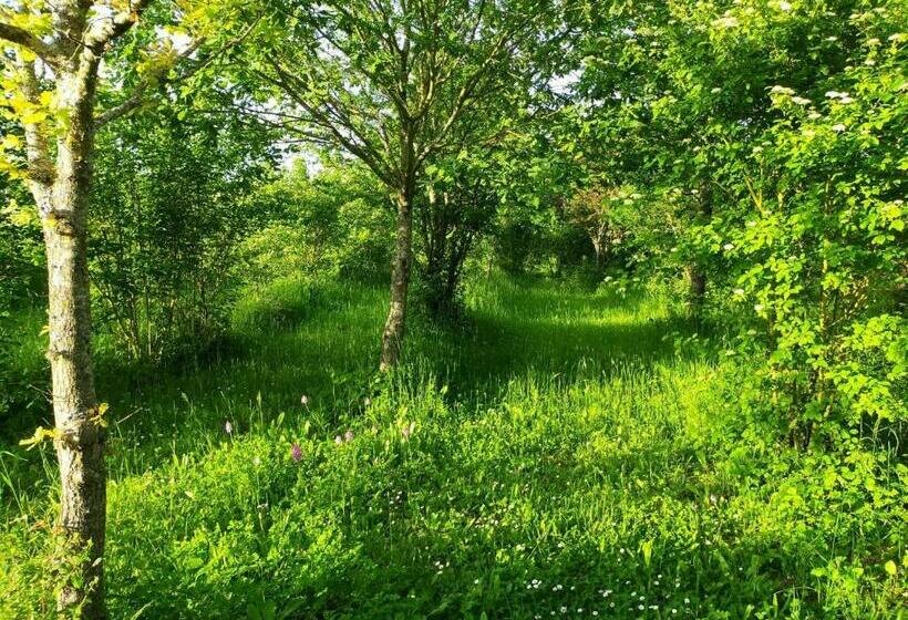 Отель Gîtes Les Perouilles La Roulotte Climatisée Avec Jacuzzi De Josépha