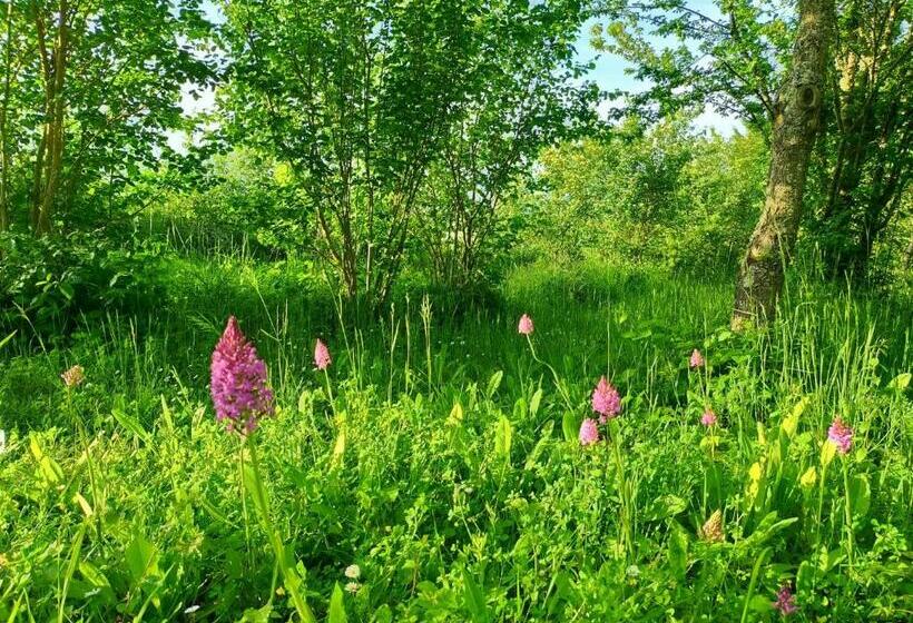 Отель Gîtes Les Perouilles La Roulotte Climatisée Avec Jacuzzi De Josépha