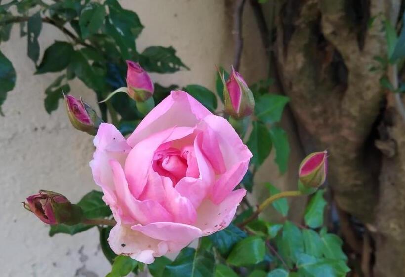 Пансион Forever São Brás