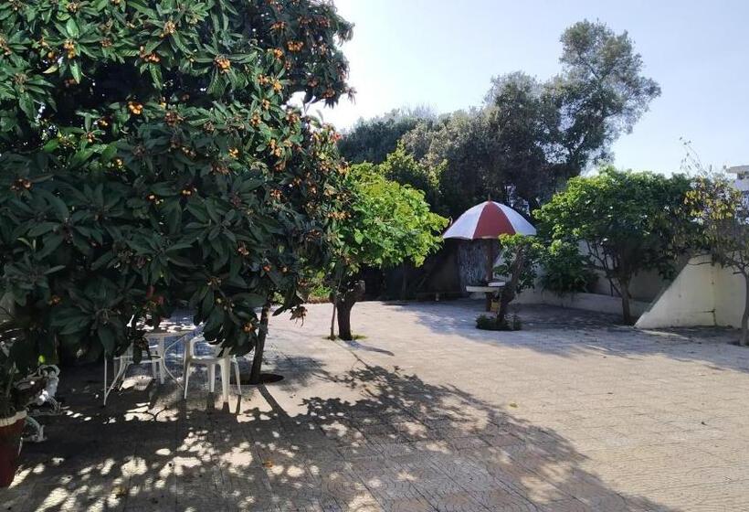 Пансион Forever São Brás