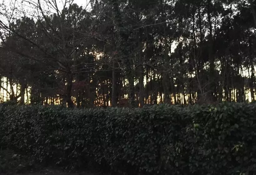 Majatalo Maison L Heure Bleue