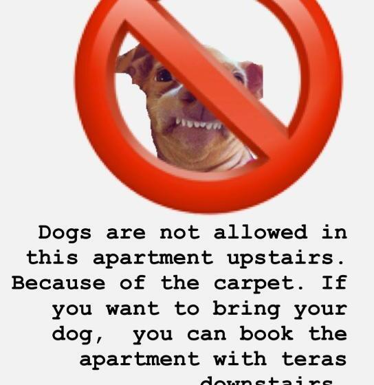 住宿加早餐 Amster Houseboat Bed Without Breakfast