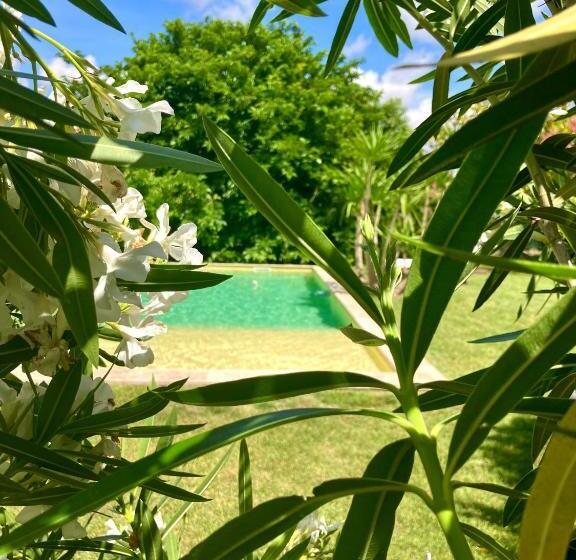 ベッドアンドブレックファースト Le Patio, Chambres D Hôtes Pour Adultes En Camargue, Possibilité De Naturisme à La Piscine