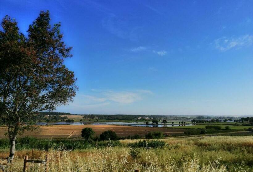 פנסיון Castelo De Arez