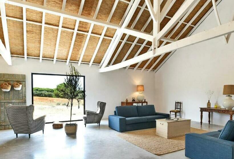 פנסיון Castelo De Arez