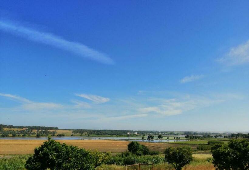 פנסיון Castelo De Arez