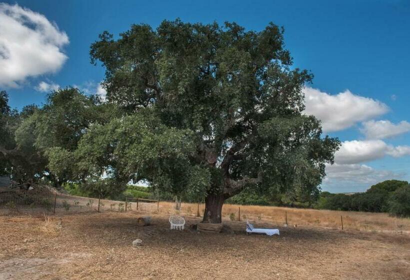 פנסיון Castelo De Arez