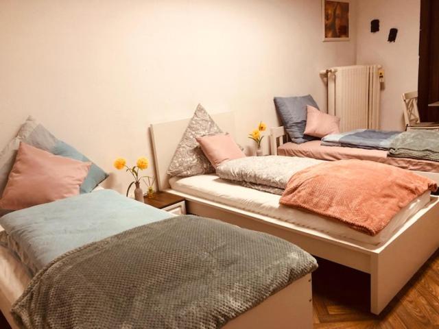 펜션 Ts Monteurzimmer