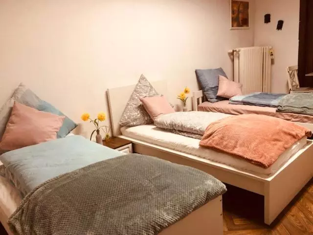 ペンション Ts Monteurzimmer