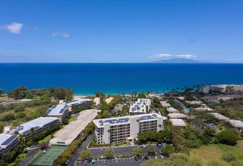 Aloha Kahakai