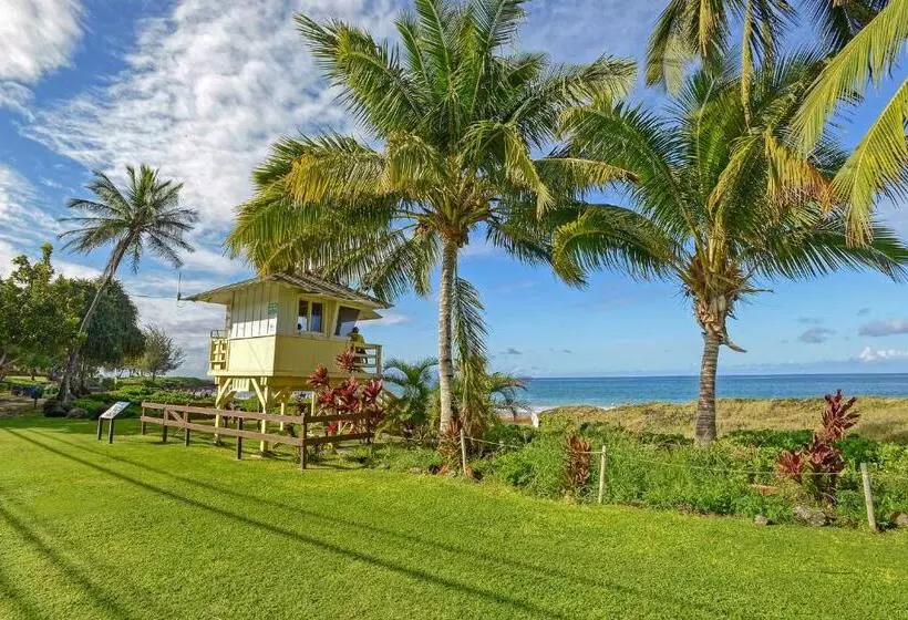 Aloha Kahakai