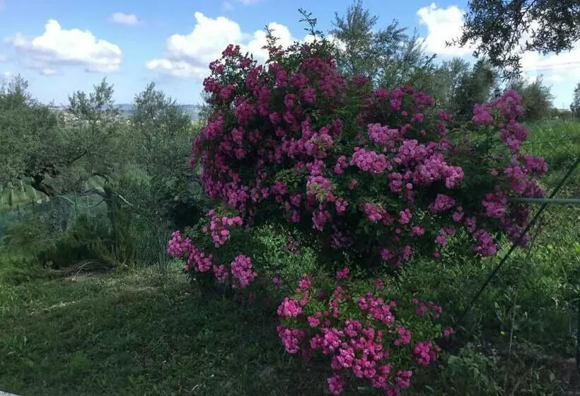 Appartamento Sole