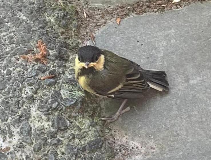 B&b Het Zonnehuis Boxtel