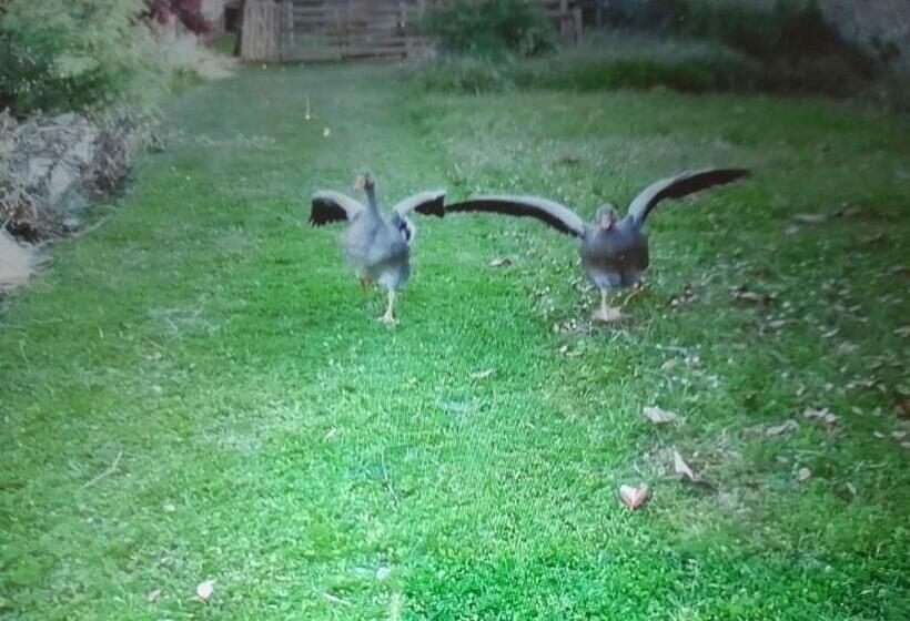 ベッドアンドブレックファースト Gite Miloute And Charley