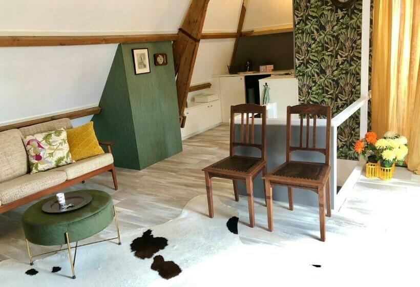 ベッドアンドブレックファースト Royale Stadsloft In Hartje Middelburg