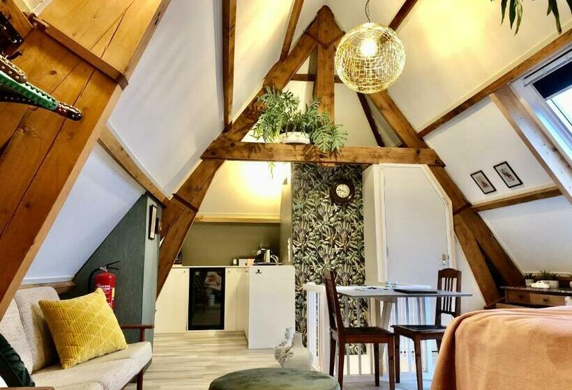 ベッドアンドブレックファースト Royale Stadsloft In Hartje Middelburg