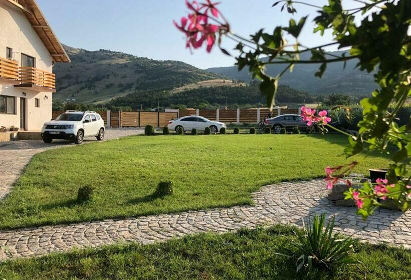 Hotel Plai Dobrogean