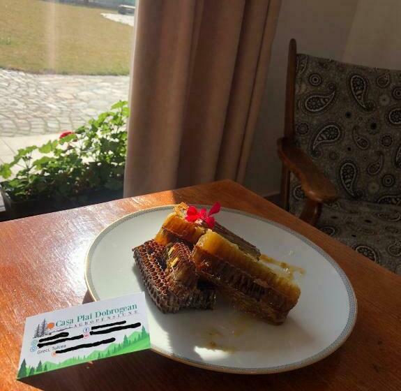 Hotel Plai Dobrogean