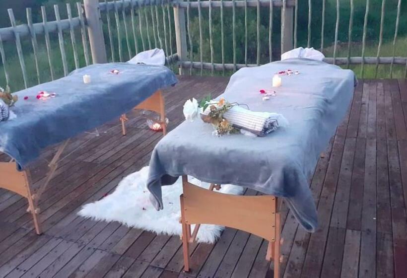 פנסיון Kameeldoring Guest House