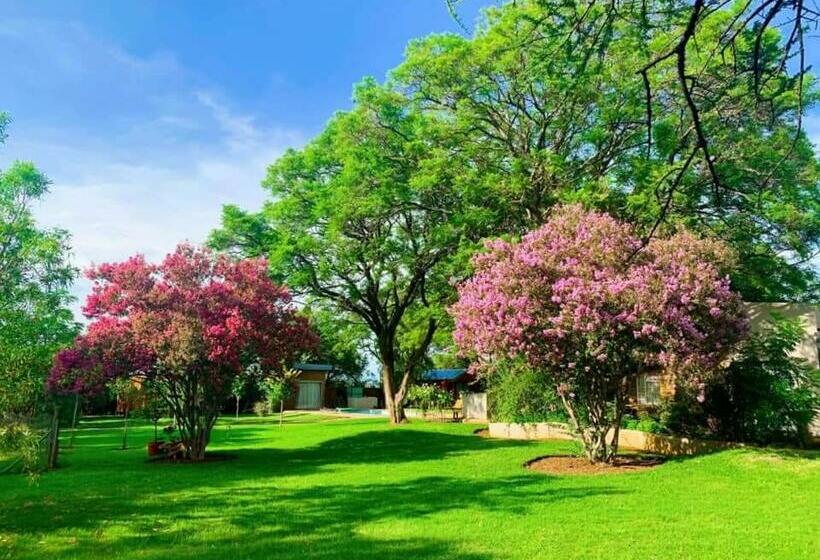 פנסיון Kameeldoring Guest House