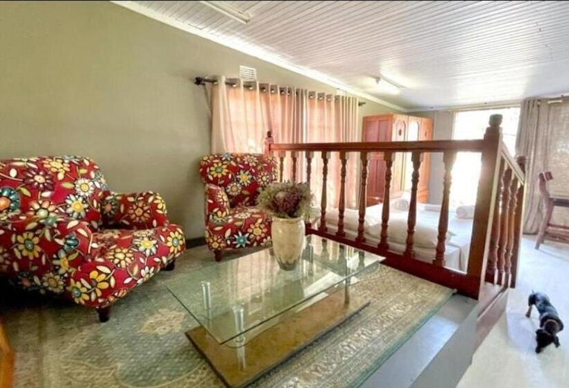 פנסיון Kameeldoring Guest House