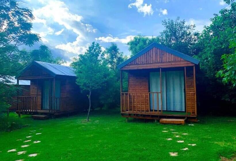 פנסיון Kameeldoring Guest House