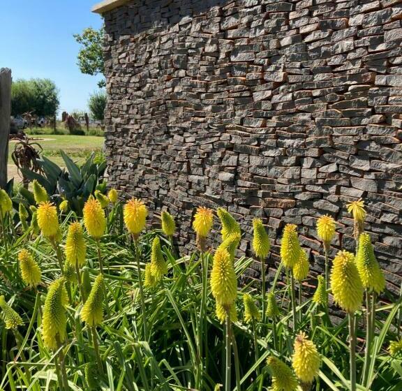 Pension The Vaal Guesthouse