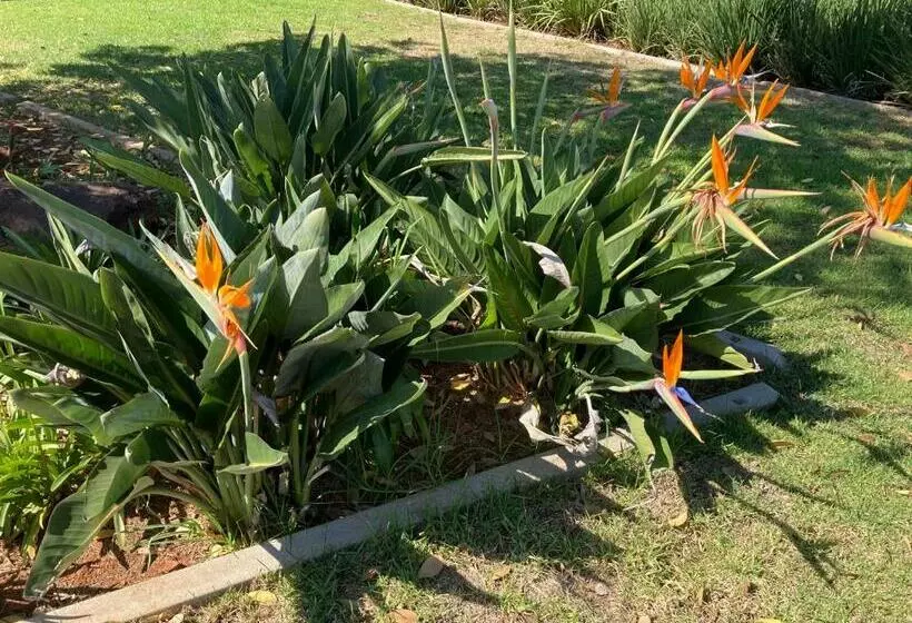 ペンション The Vaal Guesthouse