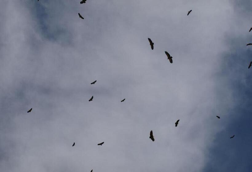 Albergue Fresno De Cantespino   La Tormenta