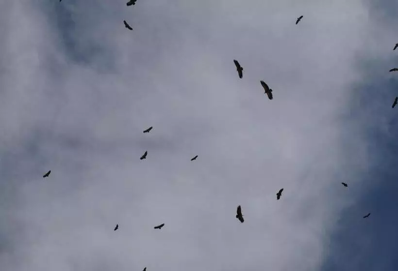 Albergue Fresno De Cantespino   La Tormenta