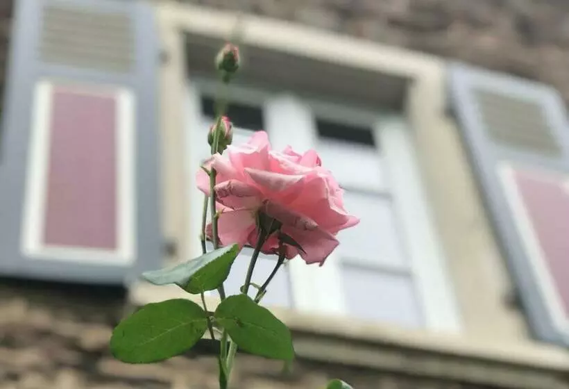 Aamiaismajoitus (B&B) Das Moselhaus