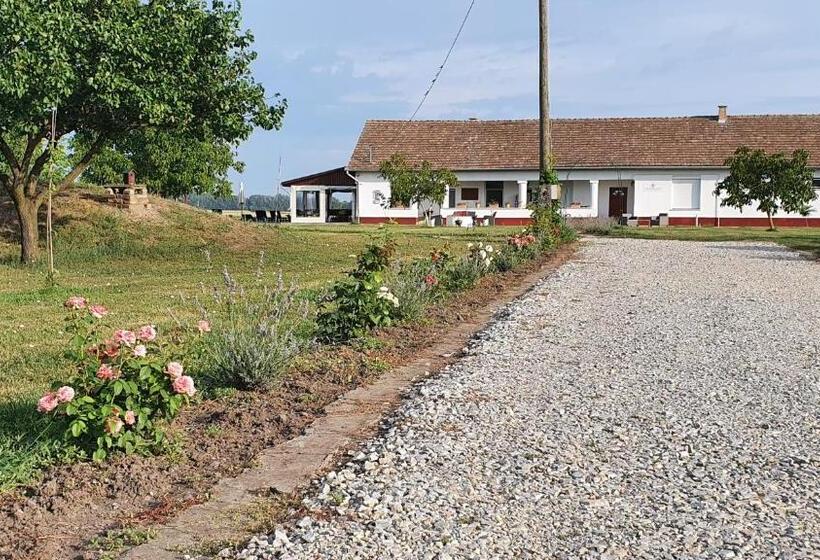 Bed and Breakfast Tisza White House