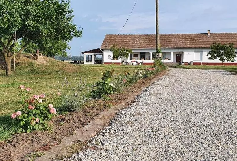 Aamiaismajoitus (B&B) Tisza White House