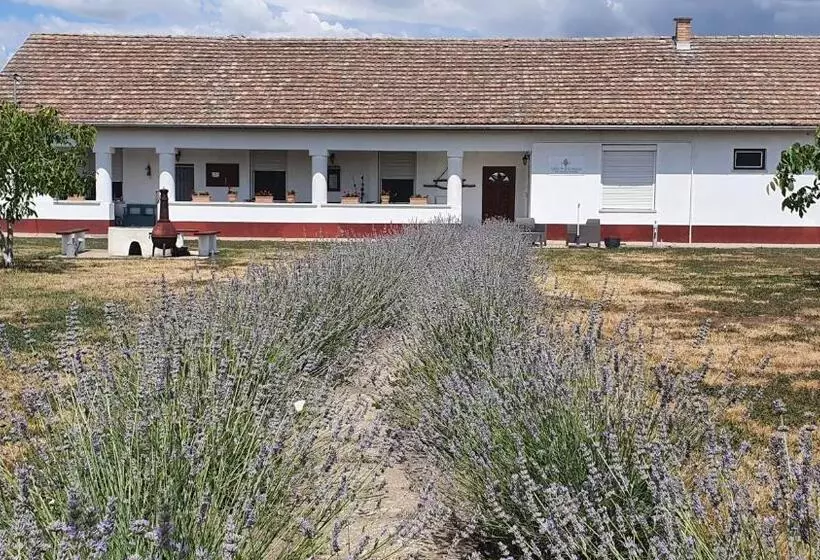 Aamiaismajoitus (B&B) Tisza White House