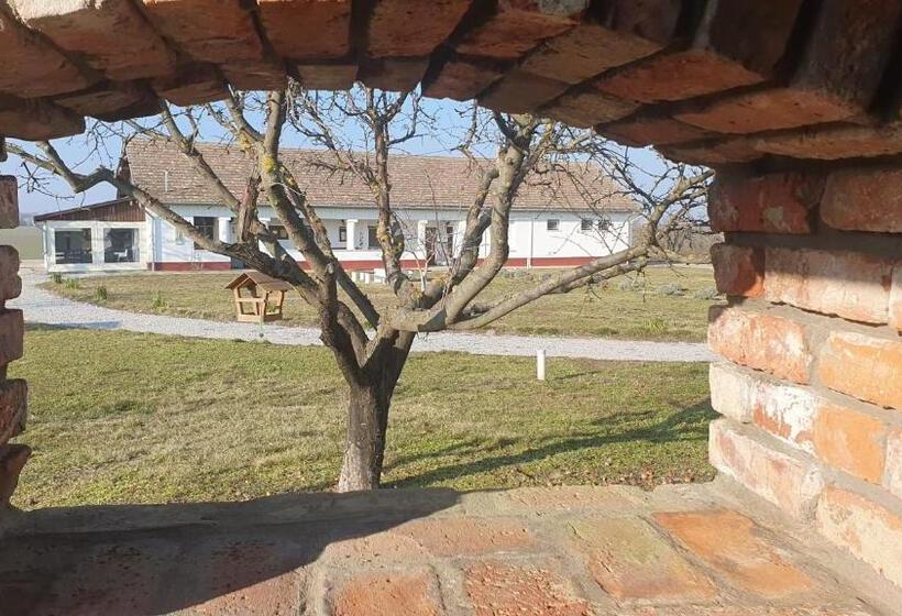 Bed and Breakfast Tisza White House