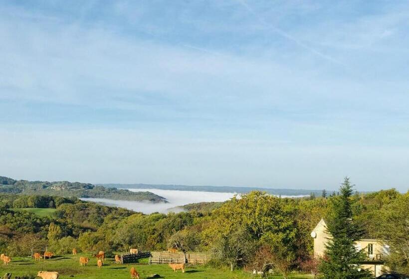 Les Cèdres Du Linard, Chambres D Hôtes B&b Near Lascaux, Montignac, Sarlat La Canéda, Dordogne
